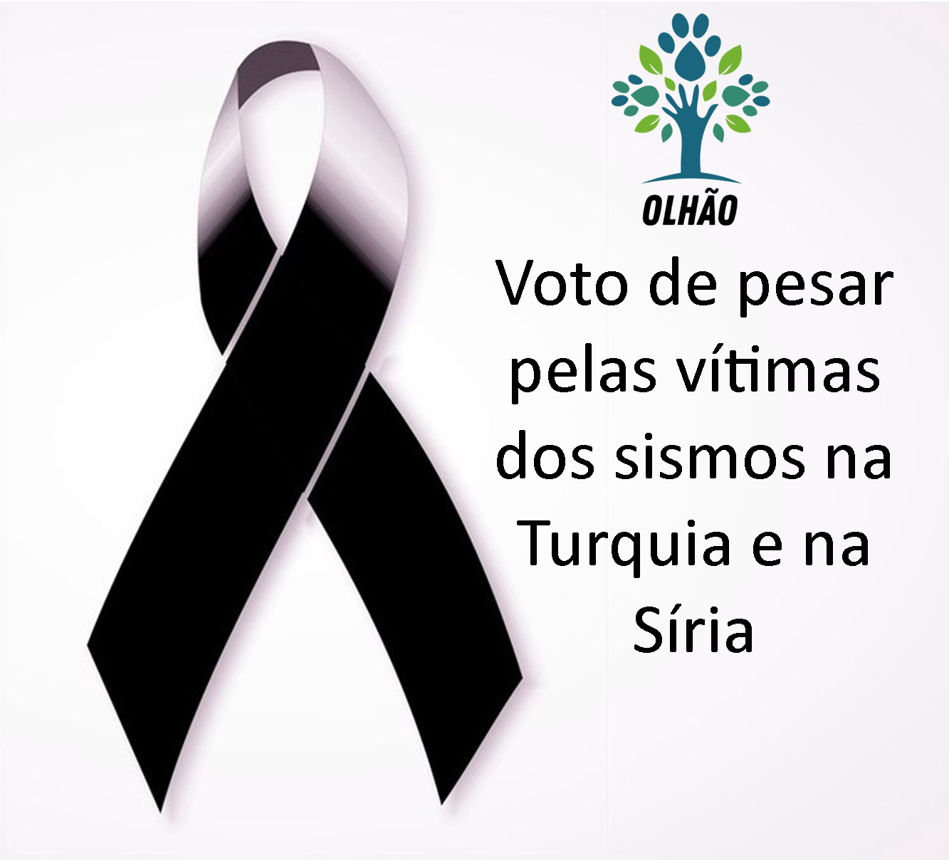 Sul Informação