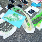Sul Informação - Walk & Art Fest em Barão de São João é muito mais que só caminhar