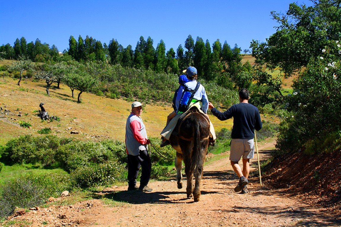 Sul Informação - Caminhadas, arte e muito convívio deram vida à aldeia do Ameixial