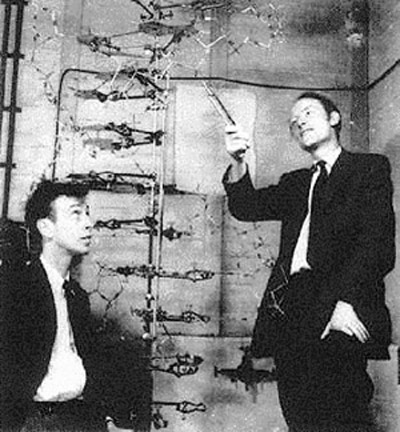 Watson e Crick Sul Informação