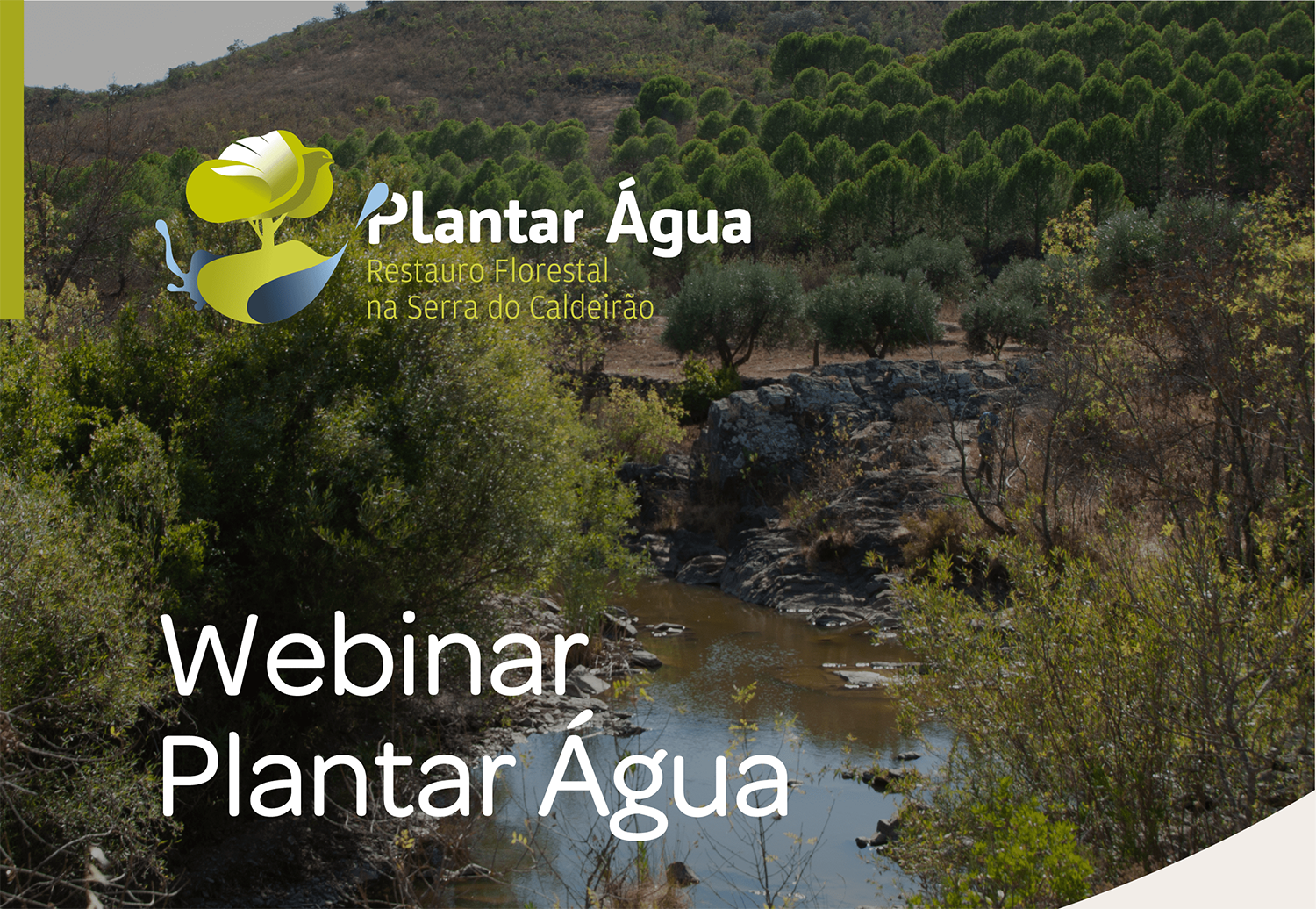 Sul Informação - Webinar revela resultados do projeto Plantar Água para Restauro Ecológico da Serra do Caldeirão