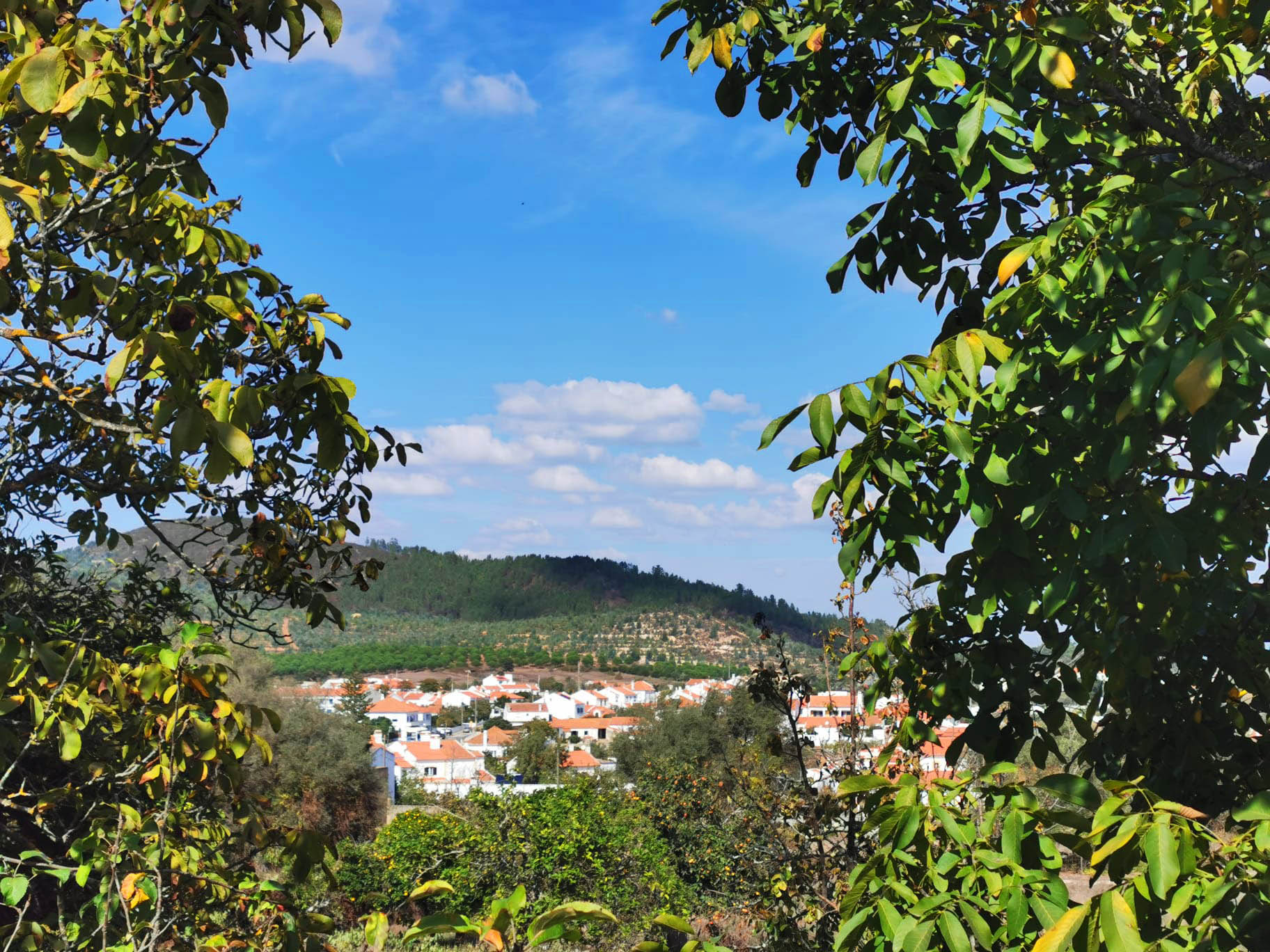 Sul Informação - A etapa mais verde, até S. Luís