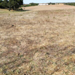 Sul Informação - A seca, o sol e os três tipos de pomadas