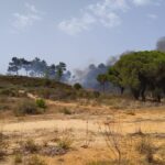Sul Informação - Incêndio: «O ponto crítico é, de facto, a Quinta do Lago» [com fotos e vídeos]