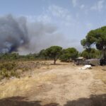 Sul Informação - Incêndio: «O ponto crítico é, de facto, a Quinta do Lago» [com fotos e vídeos]
