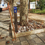Sul Informação - Um galo (na cabeça) para recomeçar a percorrer os Caminhos de Santiago