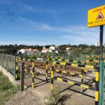 Sul Informação - Um galo (na cabeça) para recomeçar a percorrer os Caminhos de Santiago
