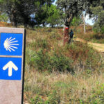 Sul Informação - O Caminho tem caminhos bons e caminhos maus