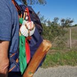 Sul Informação - O Caminho tem caminhos bons e caminhos maus