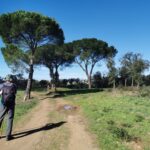 Sul Informação - O Caminho tem caminhos bons e caminhos maus