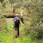 Sul Informação - Há dias perfeitos para as caminhadas