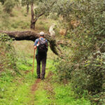 Sul Informação - Há dias perfeitos para as caminhadas