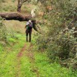 Sul Informação - Há dias perfeitos para as caminhadas