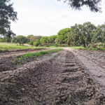 Sul Informação - Quando o GPS se torna inútil…há sempre outras ajudas