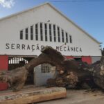 Sul Informação - O Sado, o barco para o atravessar e outras histórias