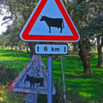 Sul Informação - Um mau dia e um mau percurso