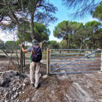 Sul Informação - Termina a segunda temporada da saga d’O Caminhante