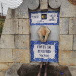 Sul Informação - Ânimo, mesmo ali perto da EN1, os “pilgrims” são “welcomed”!