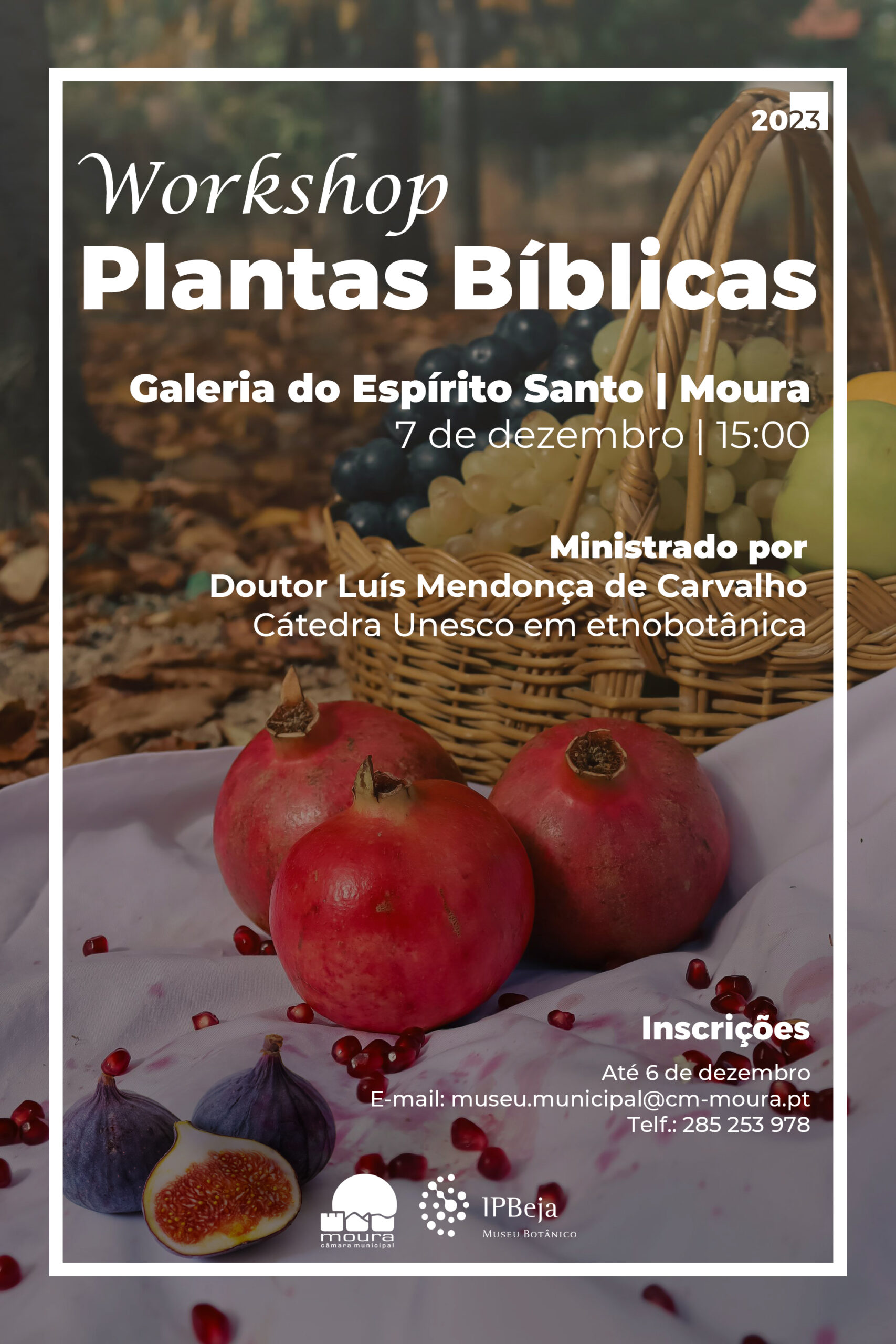 Sul Informação