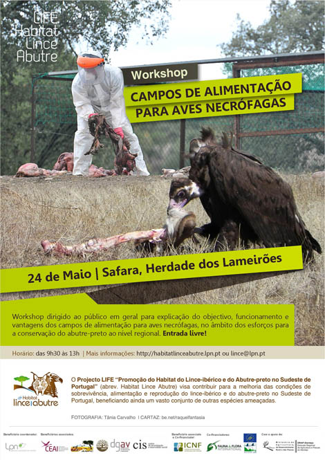 Sul Informação - LPN promove workshop sobre «Campos de Alimentação para Aves Necrófagas»