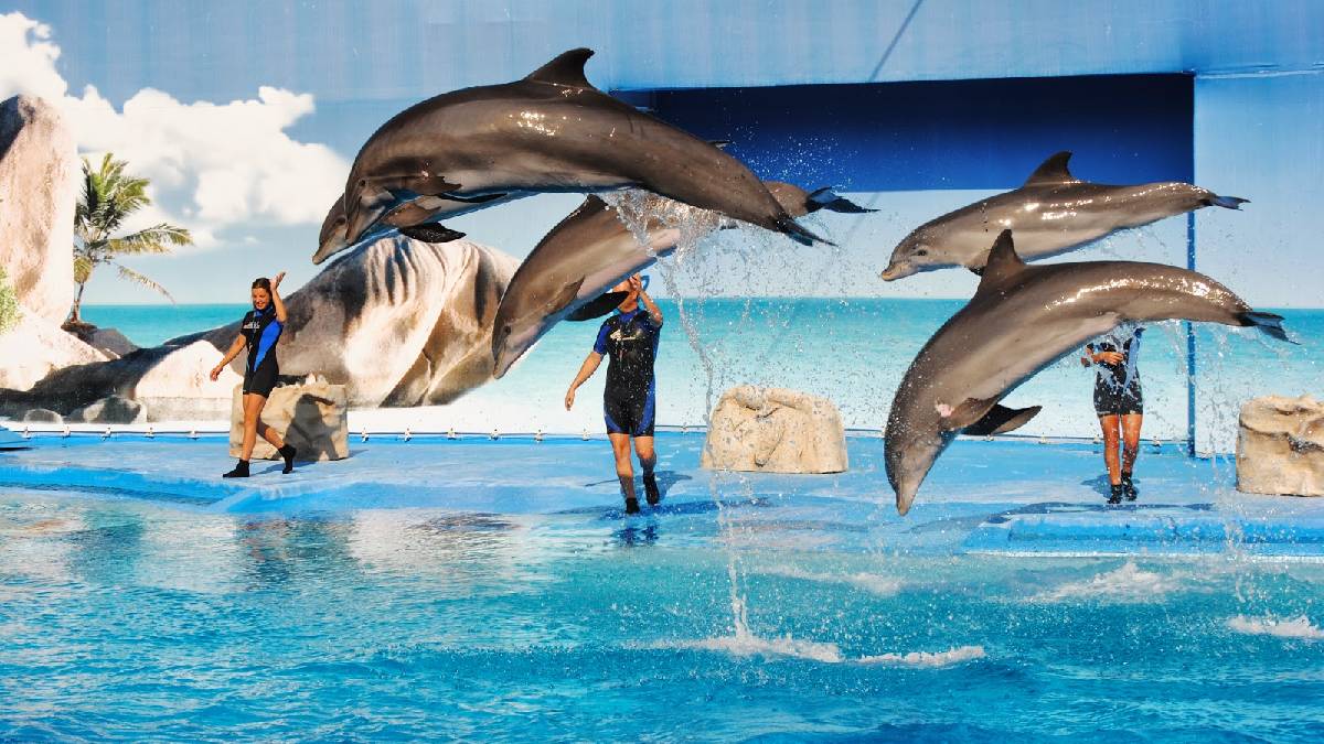Sul Informação - PAN quer reconverter zoos e delfinários em centros de conservação e recuperação de animais selvagens