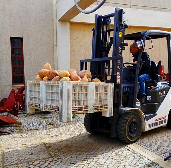 Sul Informação - Serviço de Formação Profissional de Faro oferece abóboras ao Banco Alimentar