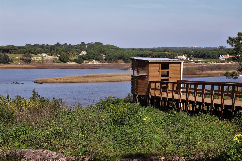 Sul Informação - Grândola abre novo abrigo para observação de aves na Lagoa de Melides