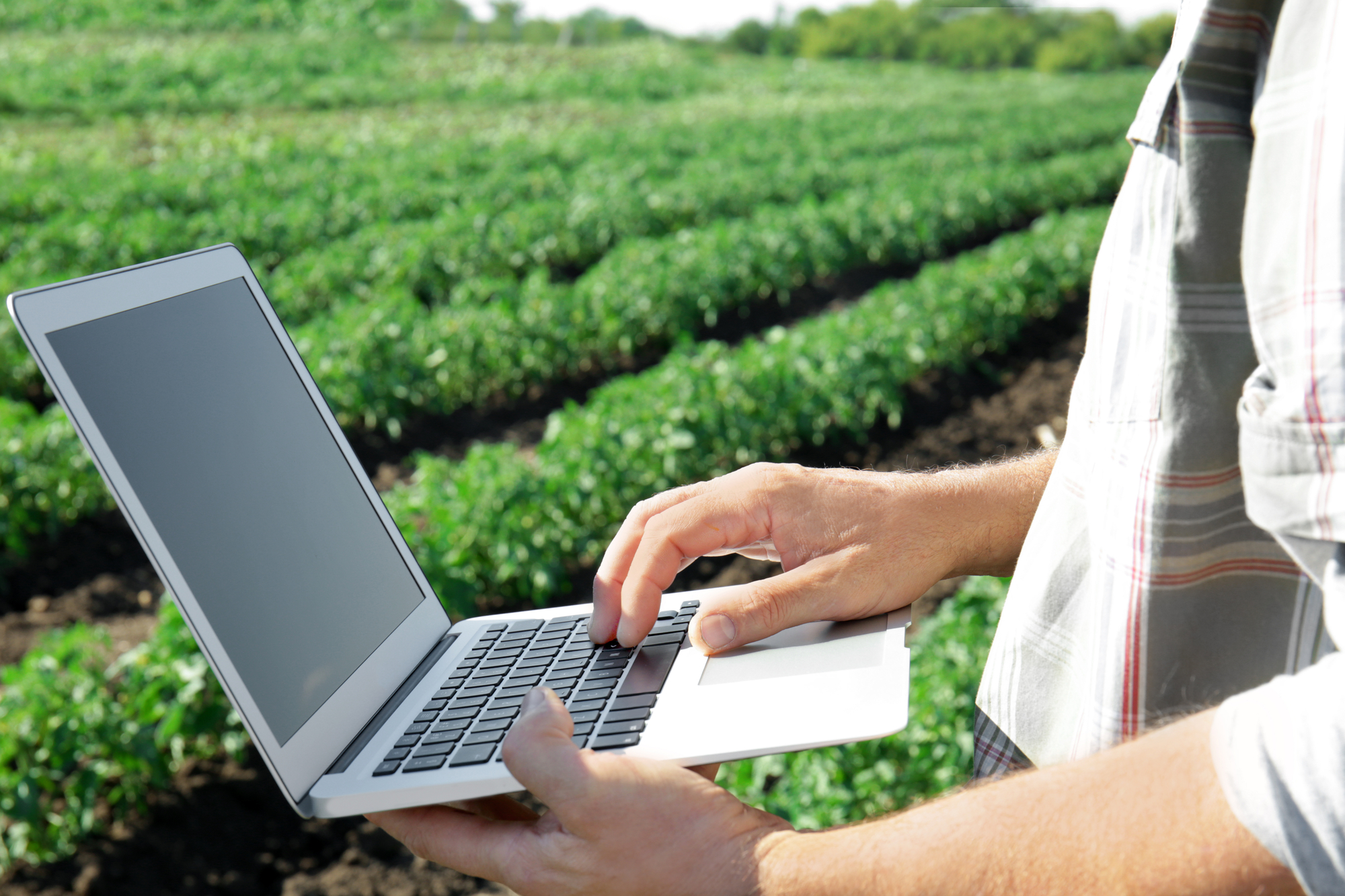 Sul Informação - Candidatos às Europeias apresentam no Algarve ideias para a agricultura