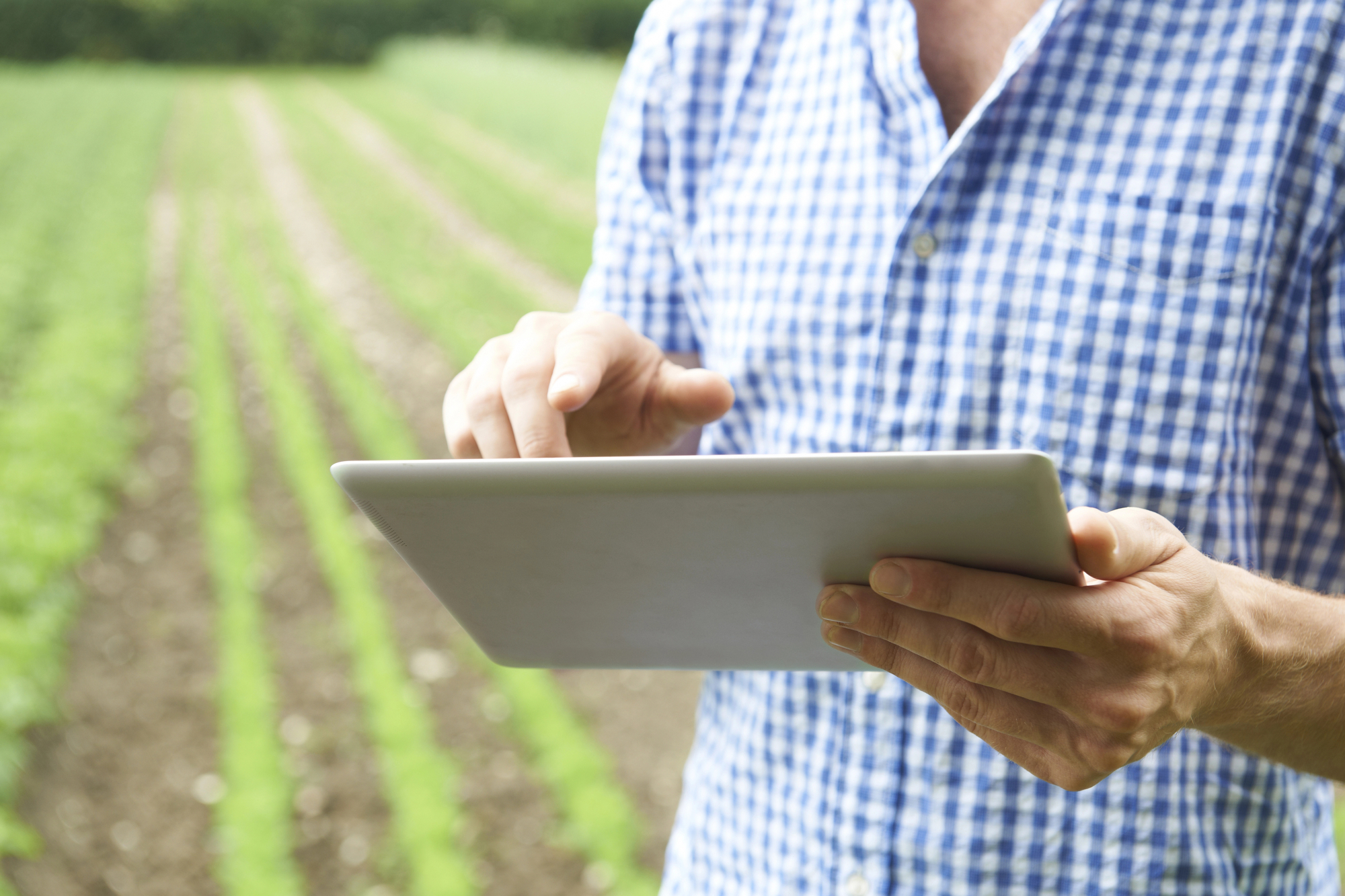 Sul Informação - Sobre a «smartificação» da agricultura e do território