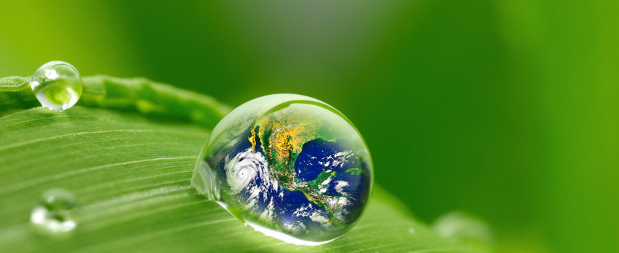 Sul Informação - Quanta água e alimentos precisamos até 2050?