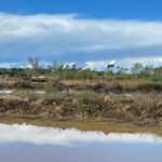 Sul Informação - Câmara de Lagoa quer comprar Alagoas Brancas com dinheiro do Fundo Ambiental