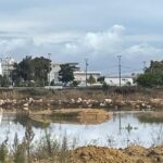 Sul Informação - Câmara de Lagoa quer comprar Alagoas Brancas com dinheiro do Fundo Ambiental