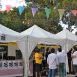 Sul Informação - Fotogaleria: Primeiro dia foi «muito bom» e hoje espera-se enchente no Alameda Beer Fest