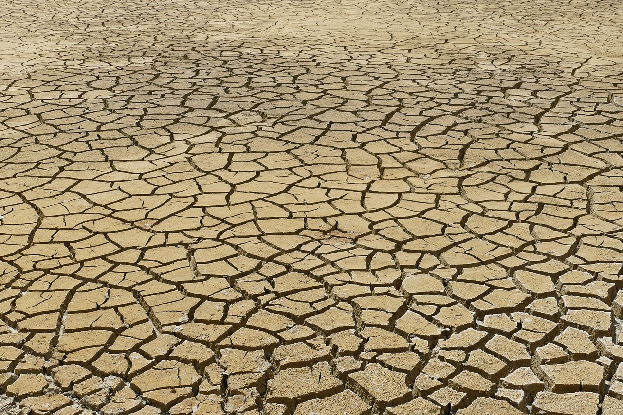 Sul Informação - Baixo Alentejo apresenta Plano Intermunicipal de Adaptação às Alterações Climáticas