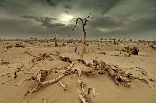 Sul Informação - Alterações climáticas: Portugal é o 3º país com melhor desempenho entre os 58 mais industrializados