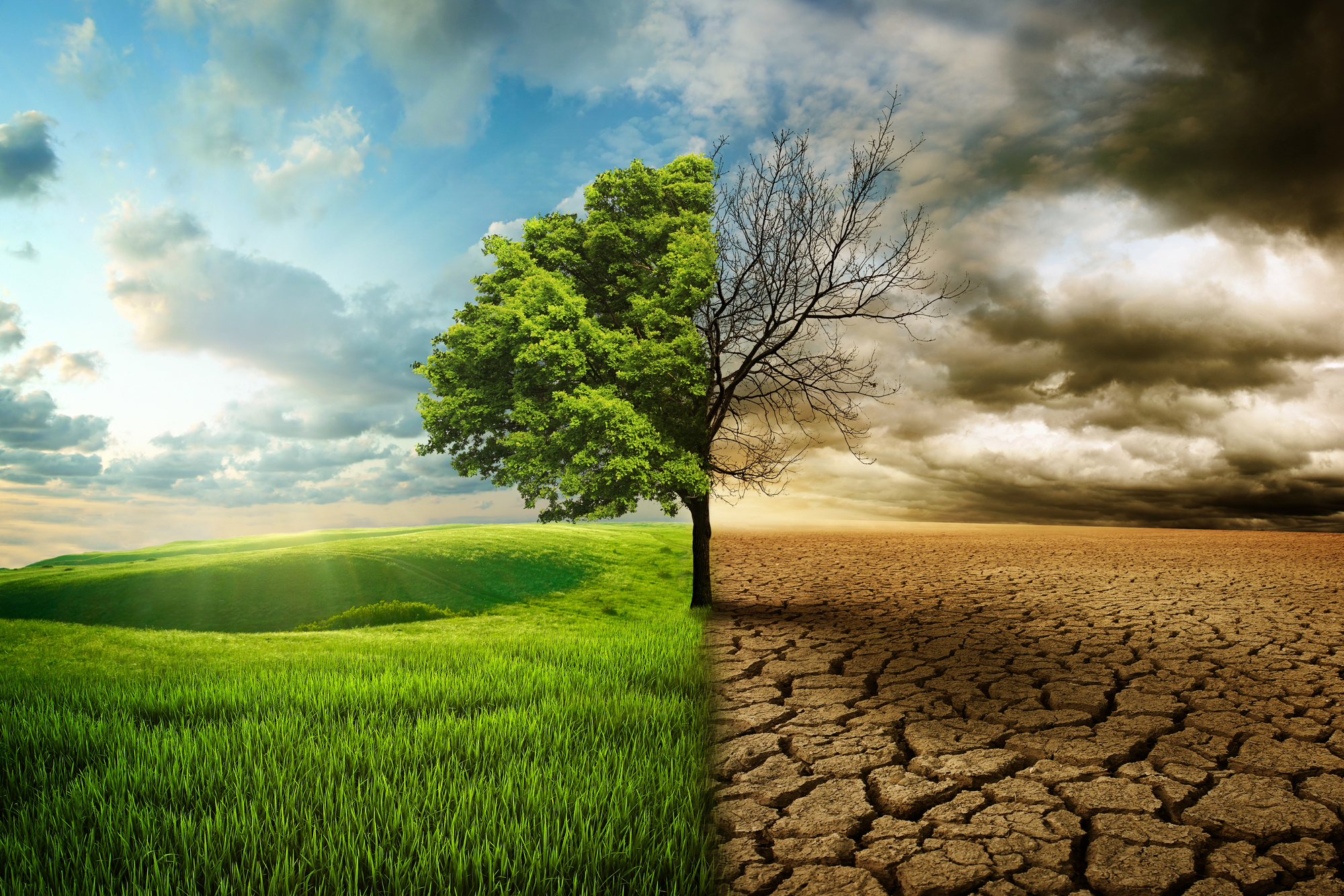 Sul Informação - COP29: Zero apreensiva com excessiva lentidão negocial face à urgência climática