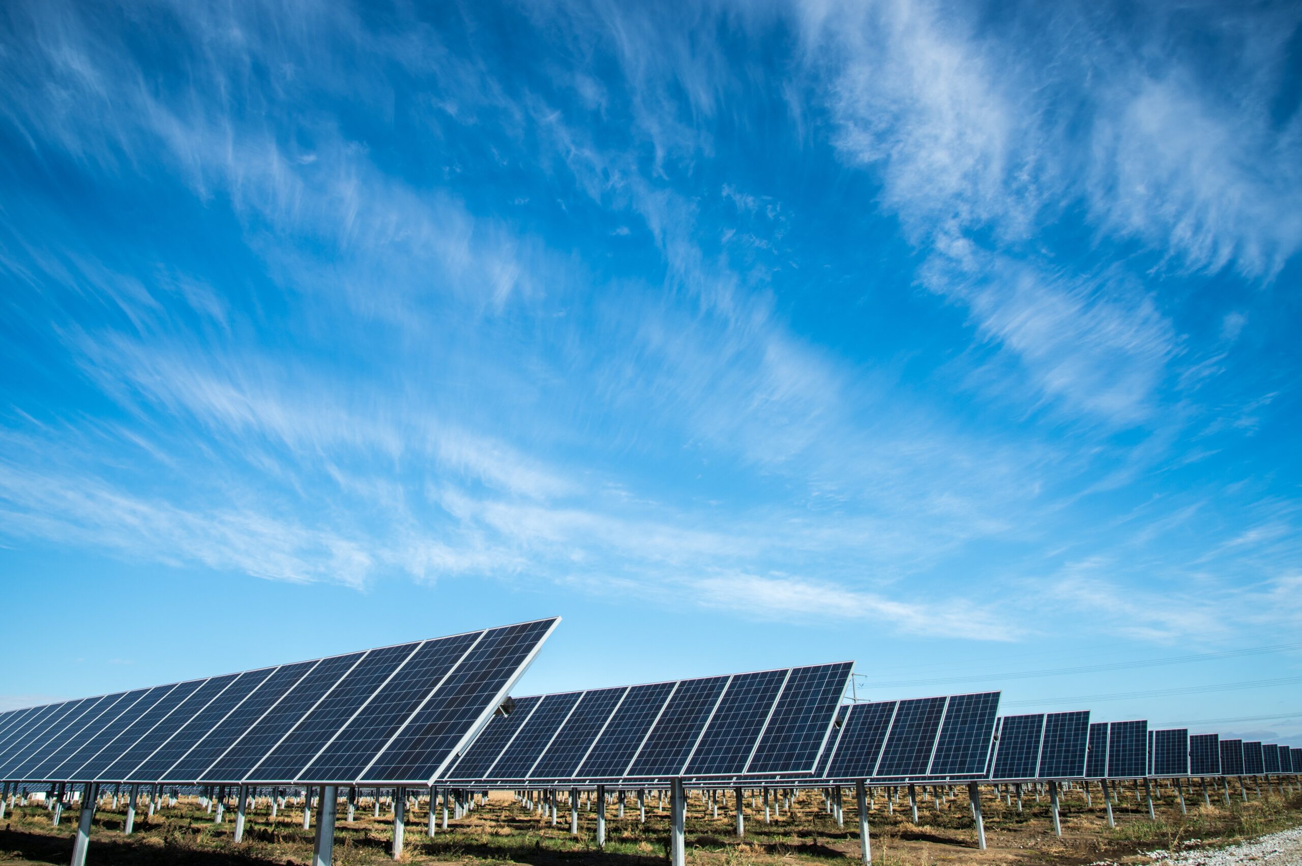 Sul Informação - Silves: Moradores de Foral apresentam ação judicial contra parque solar de 96 hectares