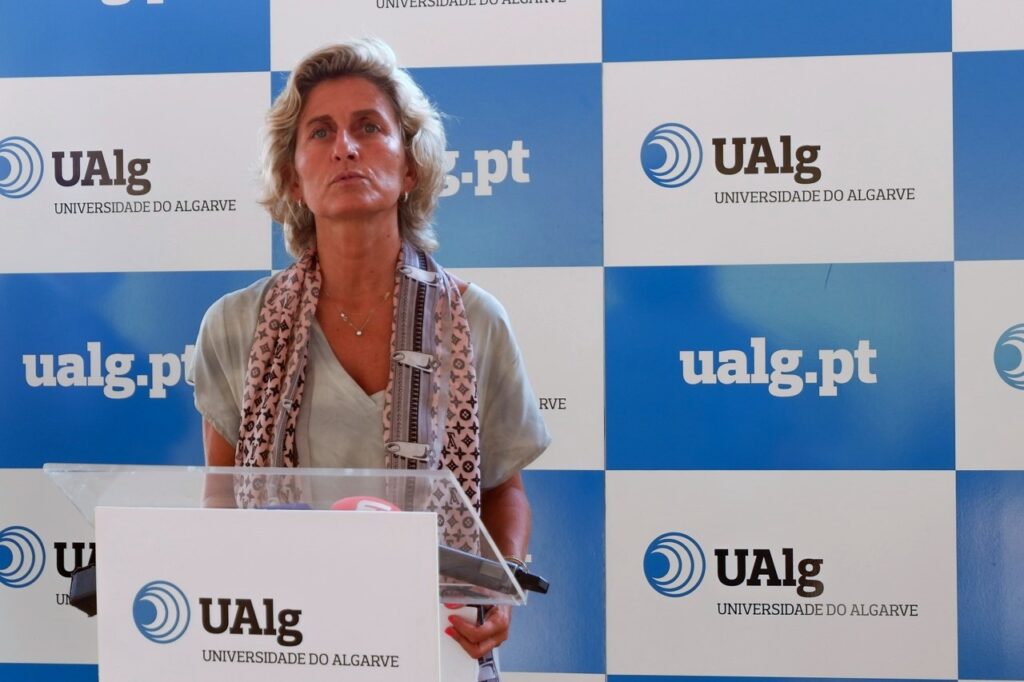 Sul Informação