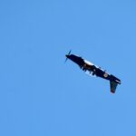 Sul Informação - Milhares ficaram de olhos postos no céu nas comemorações da Força Aérea em Portimão