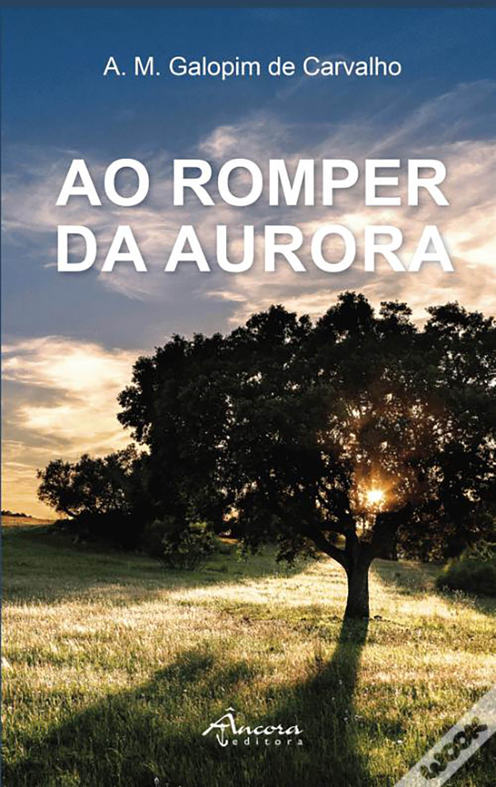 Sul Informação
