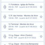 Sul Informação - “Vai e Vem” vai ter novos horários e reformulação de linhas