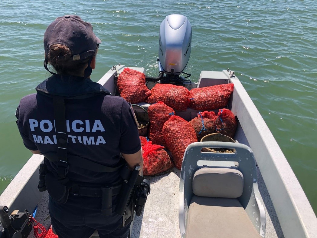 Sul Informação - Polícia Marítima de Faro apreende mais meia tonelada de berbigão na Ria Formosa
