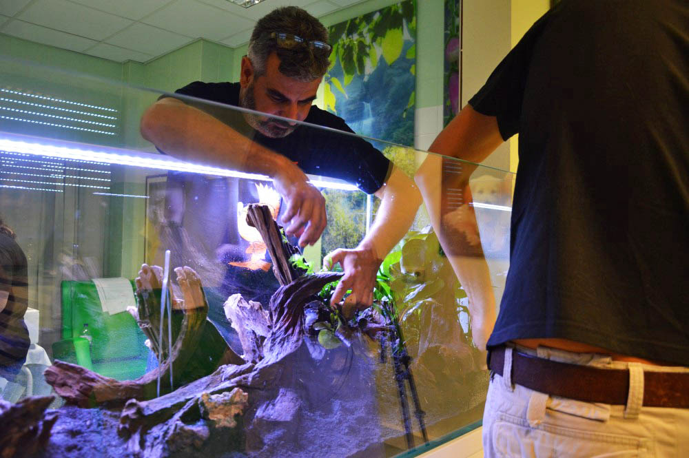 Sul Informação - Aquário tropical ajuda ao bem estar dos doentes que fazem quimioterapia no Hospital de Portimão