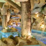 Sul Informação - Parque aquático coberto do Aquashow já tem data de abertura