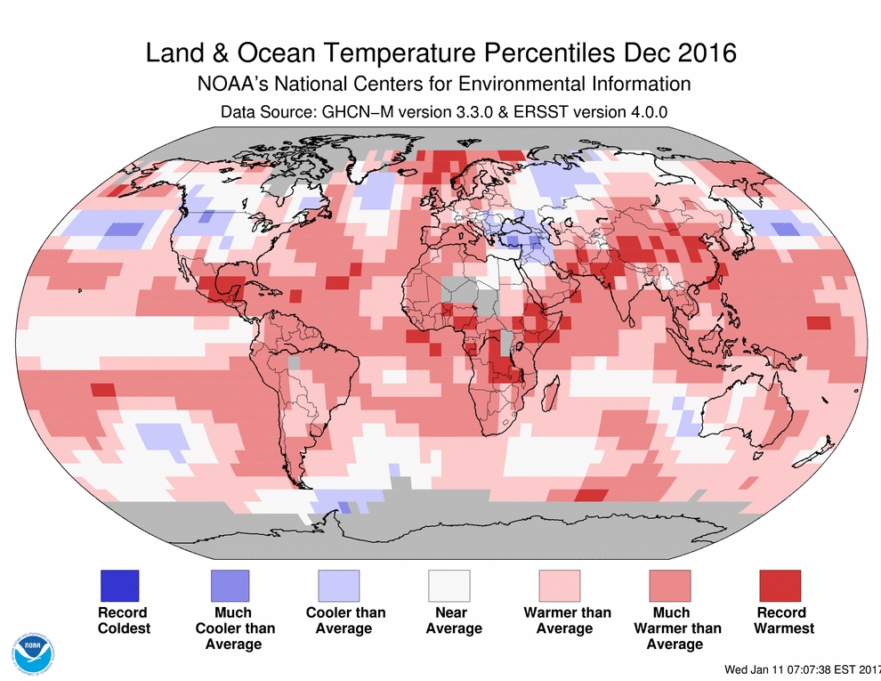 Sul Informação - Apesar da vaga de frio…o planeta está a aquecer