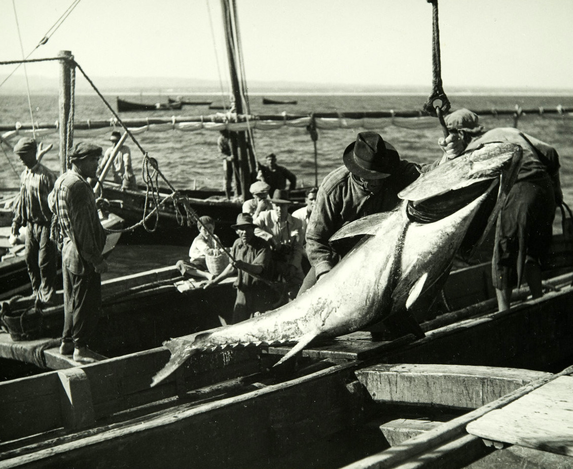 Sul Informação - Tavira mostra “Os Mundos do Sul” de Artur Pastor