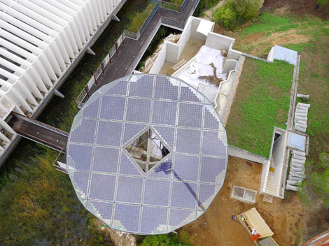 Sul Informação - Árvore fotovoltaica gigante alimenta lontras e reduz fatura do Fluviário de Mora