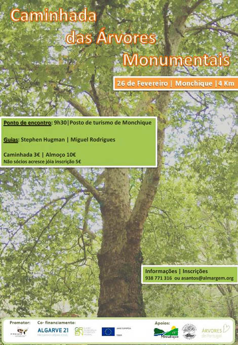 Sul Informação - Caminhada das Árvores Monumentais testa rota complementar da Via Algarviana em Monchique