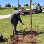 Sul Informação - Rogério Bacalhau plantou duas árvores no Parque Ribeirinho de Faro