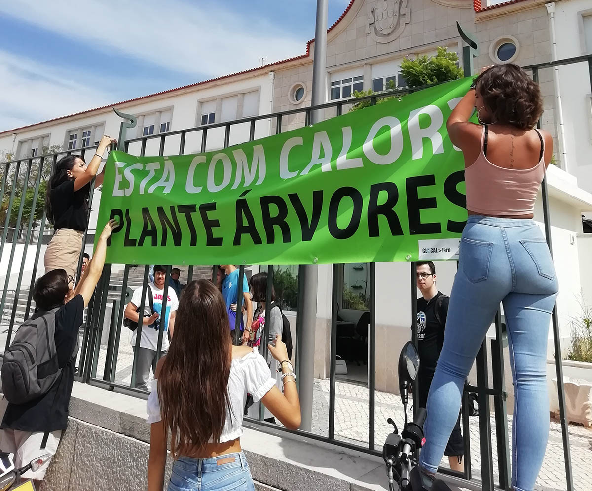 Sul Informação - Competências para a cultura democrática